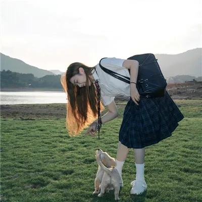 八公物语
